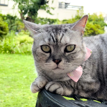 リボンリボン ねこヒゲリボン首輪 猫用