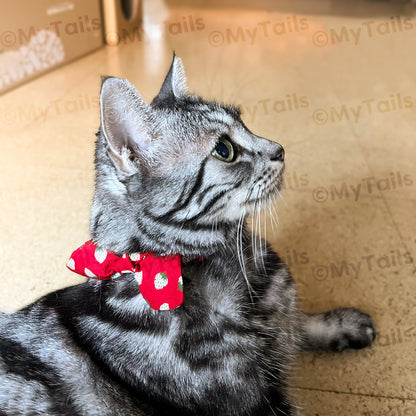 Berry Much Red Whisker Bow Cat Collar Breakaway Buckle