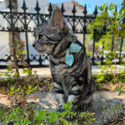 カーズ ねこヒゲリボン首輪 猫用