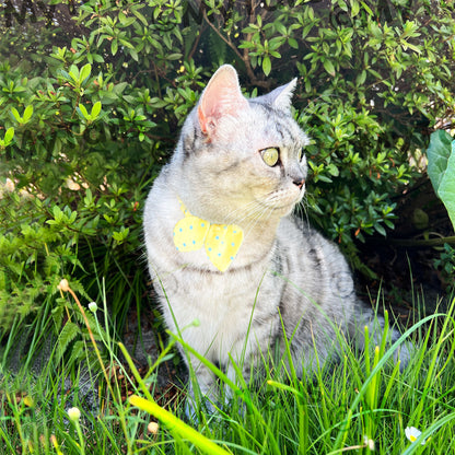 Lemon Soda Whisker Bow Cat Collar Breakaway Buckle