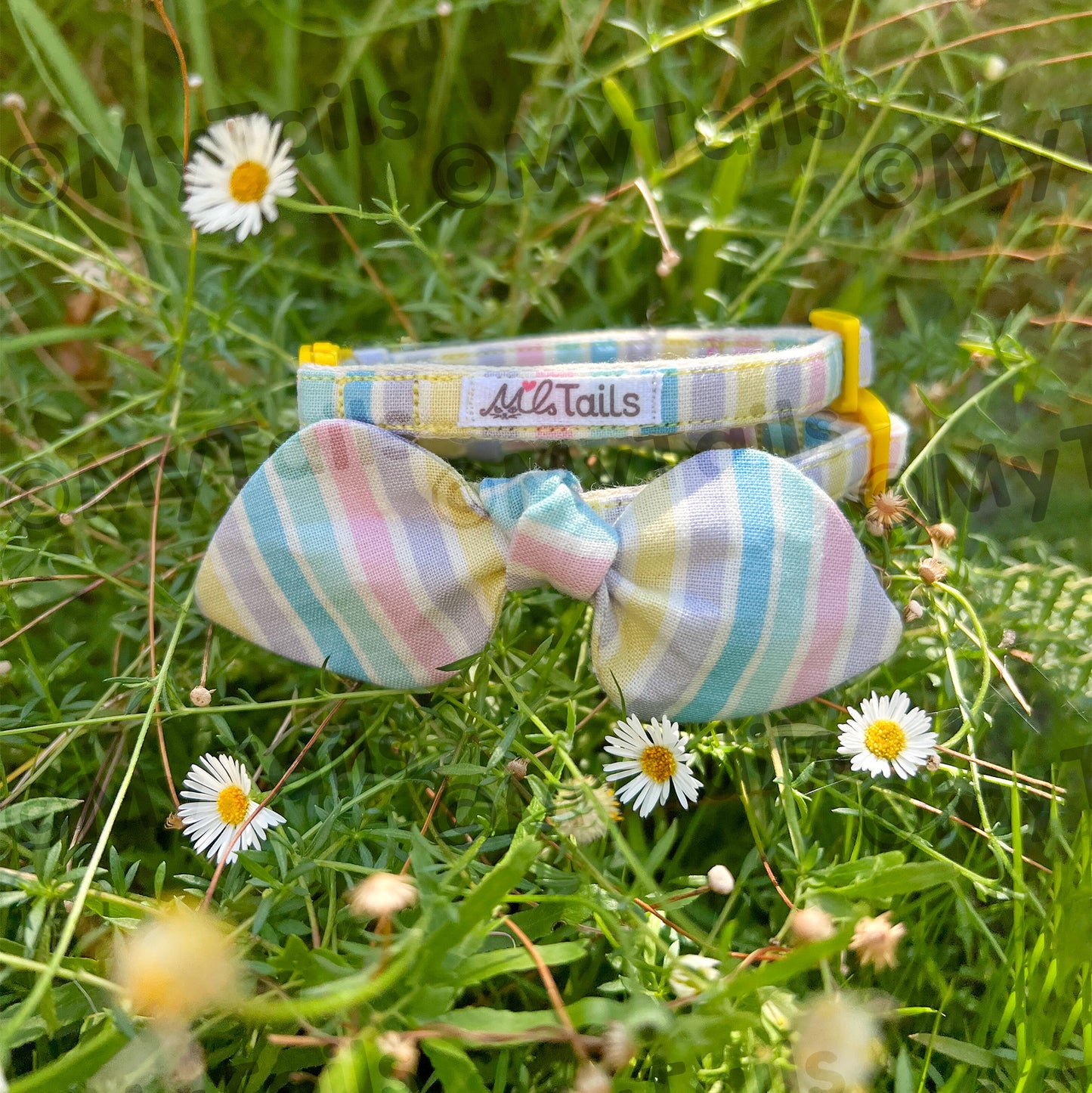 Pastel Rainbow Whisker Bow Cat Collar Breakaway Buckle