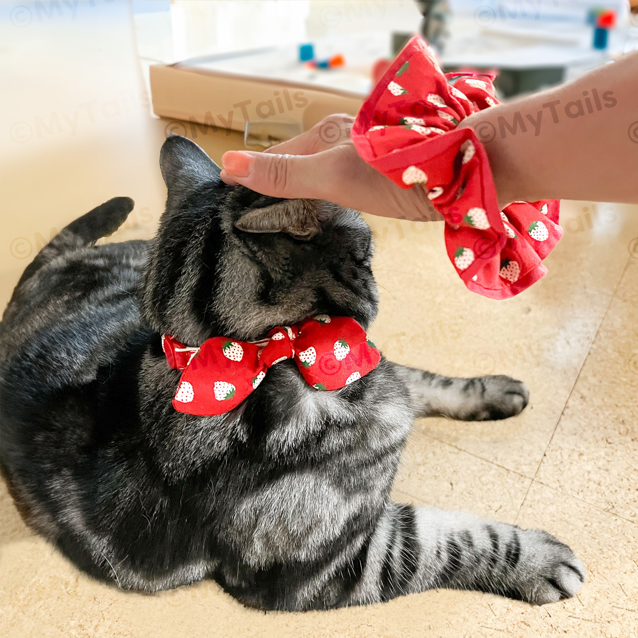 Berry Red Scrunchie Matching with Cat Collar My Tails